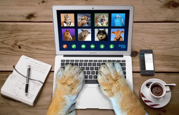 ECサイト運営における上手な動画の使い方